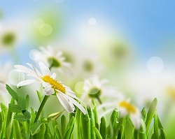 Praca sklepu stacjonarnego w trakcie weekendu majowego