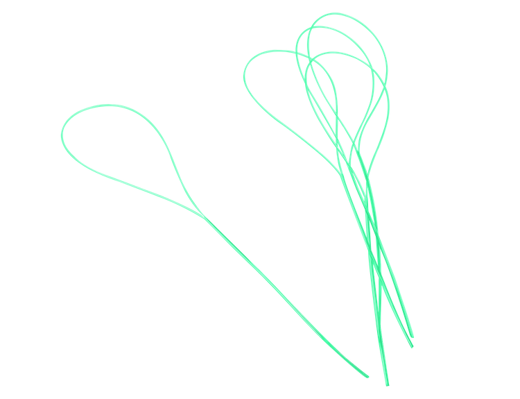 Sanaj Ortho Travel Care Kit -zestaw ortodontyczny Zielony